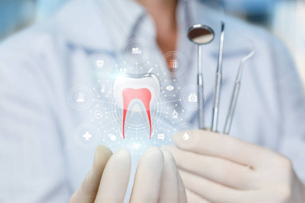 Best Cosmetic Dentistry  in Batesburg Leesville, SC